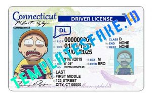 Connecticut DL - Templates Fake ID