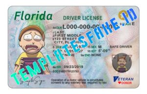 Florida DL - Templates Fake ID
