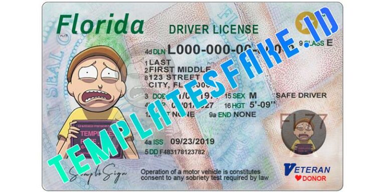 fl drivers license check by name