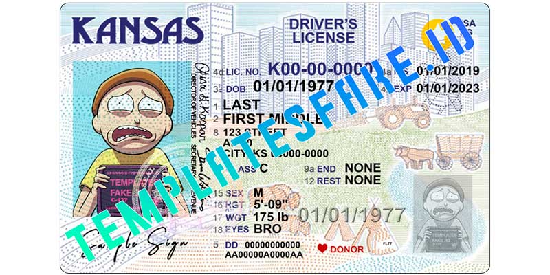 mississippi drivers license price