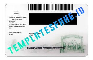apply for duplicate license in massachusetts