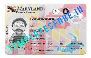 maryland duplicate license