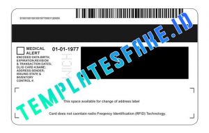 free michigan drivers license template psd