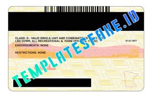 Minnesota drivers license template