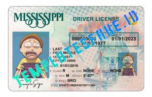 fake mississippi drivers license template