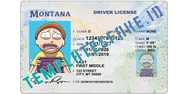 Driver s License Templates Fake ID Page 3