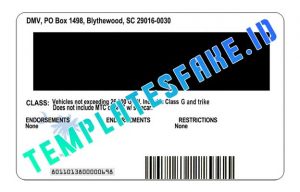 south carolina drivers license template free download