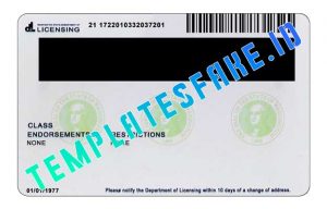 Washington DL - Templates Fake ID