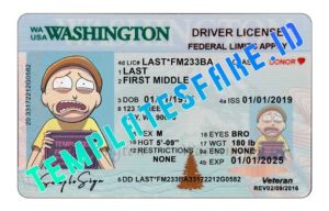 Washington DL - Templates Fake ID